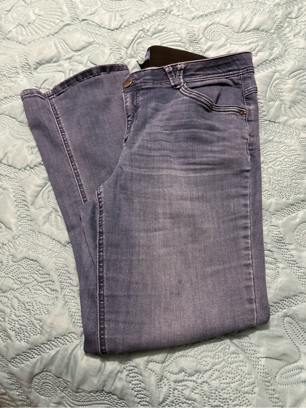 Democracy Jeans 18W
